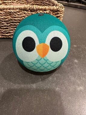 Blue Owl Kids Alexa Echo Dot with Charger